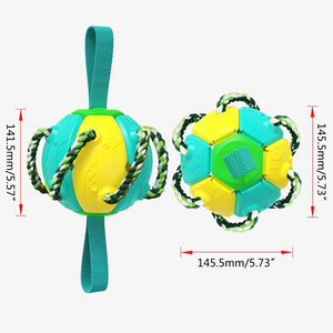 Pelota Fresbee Para Perros