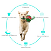 Pelota Fresbee Para Perros